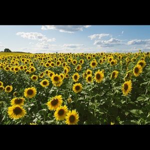 Meet your Posher, Briana